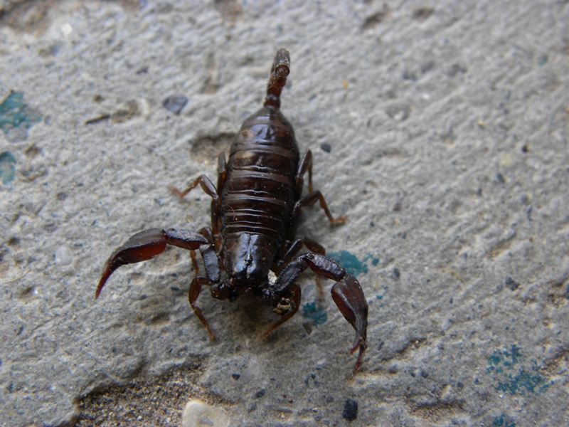 DSCN5614.JPG